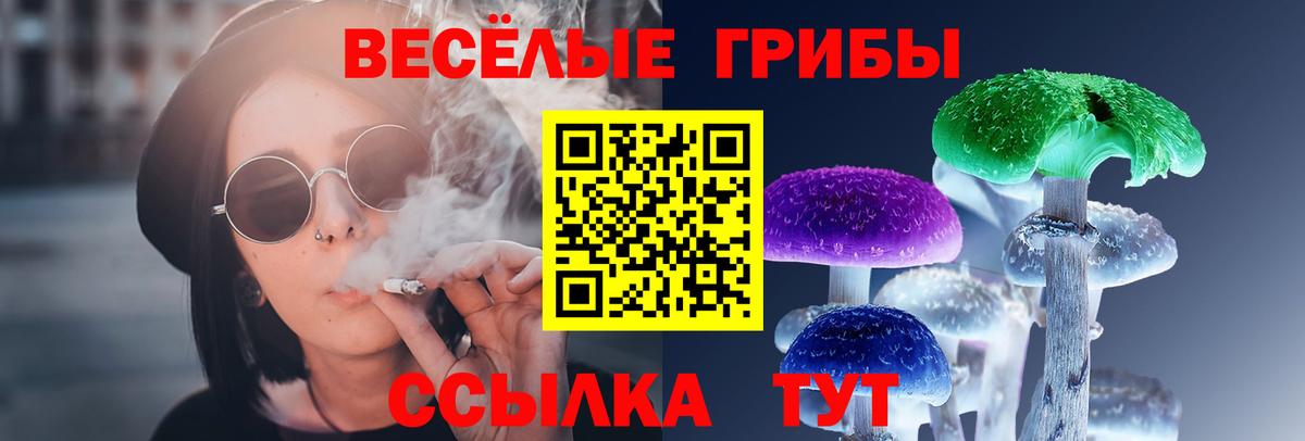 Галлюциногенные грибы Cubensis Учалы